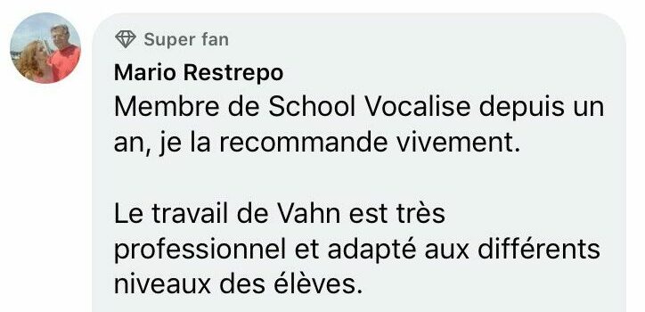 school vocalize avis mario school vocalize témoignage élève